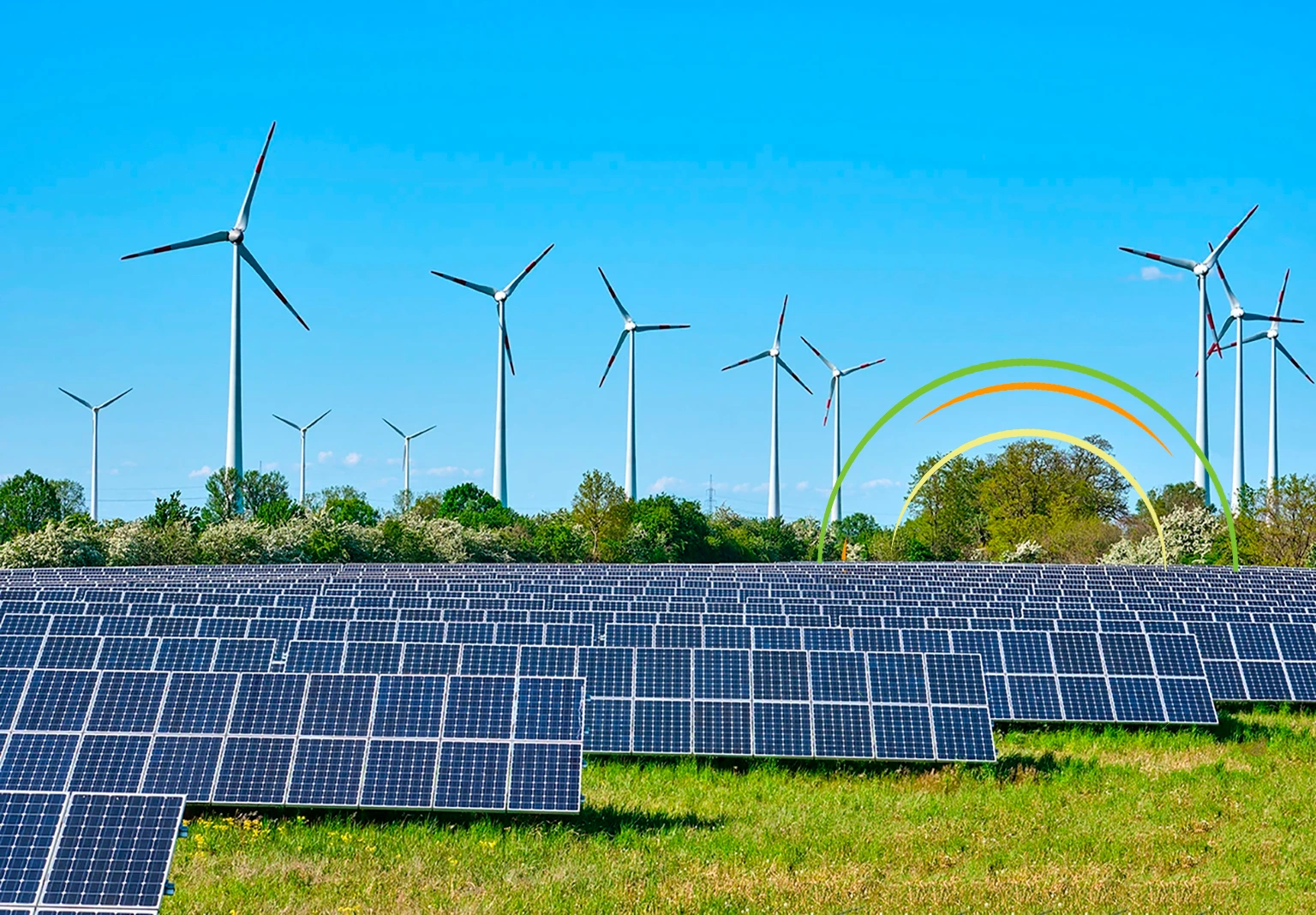 Paneles solares en campo